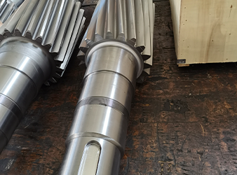 Gear with Shaft