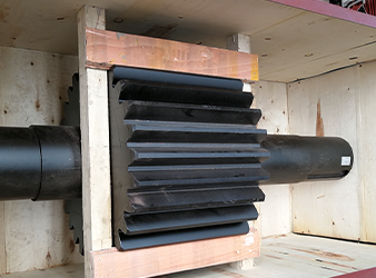 Gear with Shaft
